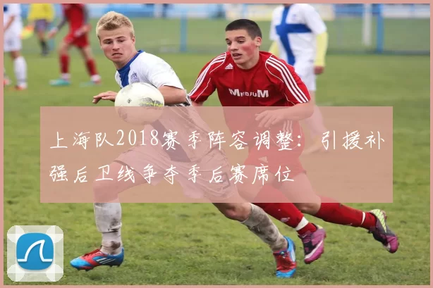 上海队2018赛季阵容调整：引援补强后卫线争夺季后赛席位