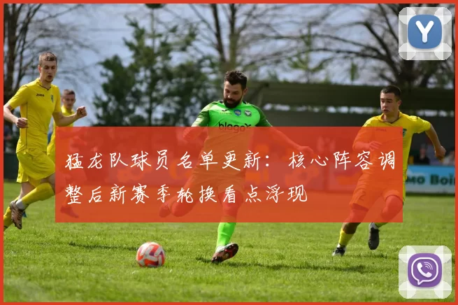 猛龙队球员名单更新：核心阵容调整后新赛季轮换看点浮现